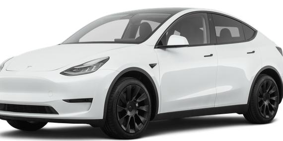 TESLA MODEL Y 2021 5YJYGDEE9MF071215 image